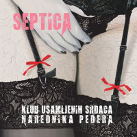 Klub usamljenih srdaca narednika Pedera