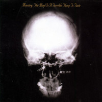 Album cover for The Mind Is a Terrible Thing to Taste
