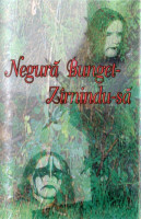 Zîrnindu-să