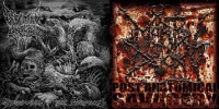 Mortal Decay / Defeated Sanity