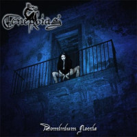 Dominium noctis