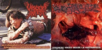 Gastroduodenalulcerfollicularadenoma fulminanthepatitishydrocelefacialspasmyxomatosis / Viscosas voces desde la necroorgía