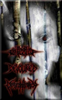 Infested / Devoured / Despondency
