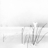 In frostigen Tälern