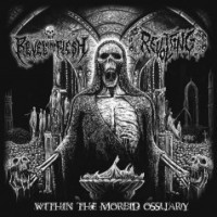 Within the Morbid Ossuary
