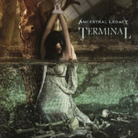 Terminal