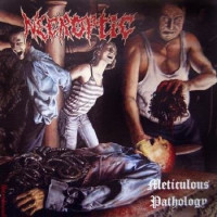 Meticulous Pathology