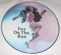 Fox on the Run