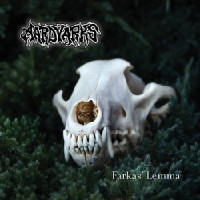 Farkas' Lemma