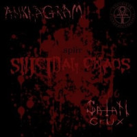 Suicidal Chaos