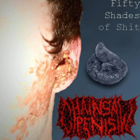 50 Shades Of Shit