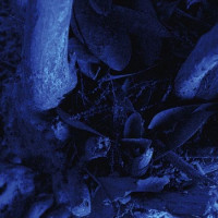 Deathlike Silence