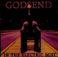 In the Electric Mist