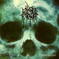 Strongholds
