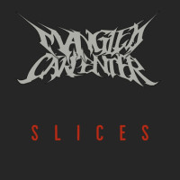Slices