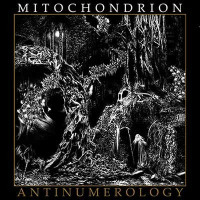 Antinumerology