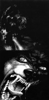 Antaeus / Katharsis