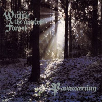 Within the Ancient Forest
