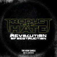 Revolution of Destruction