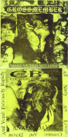 Make Victims Not Love / Anal Cadaver