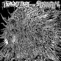 Vastum / Spectral Voice