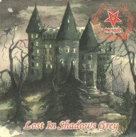 Lost in Shadows Grey