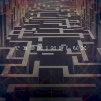 Techinflux