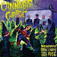 Beneath Grow Lights Thou Shall Rise