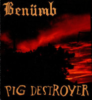 Benumb / Pig Destroyer