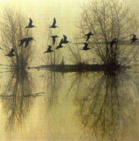 …Majestic Thou in Ruin