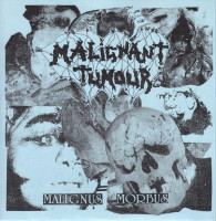 Malignus Morbus / Labyrinth of Lights