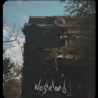 Wasteland