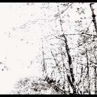 The White EP