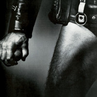 Album cover for Balls to the Wall