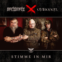 Stimme in mir (Antisozial ICD-10 F60.2)