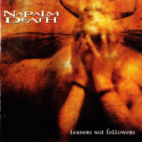 Leaders Not Followers