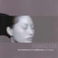 Burnt by the Sun / Luddite Clone