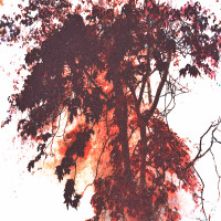 Kiss in October (2017)