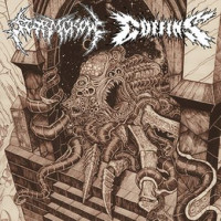 Stormcrow / Coffins