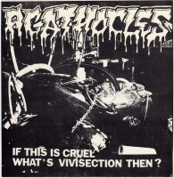 If This Is Cruel What's Vivisection Then?