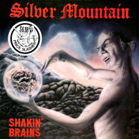 Shakin’ Brains
