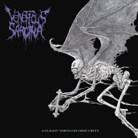 A Flight Through Obscurity