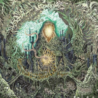 Claustrum