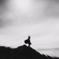 The Weight Of Life