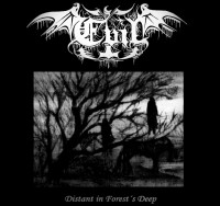 Distant in Forest’s Deep