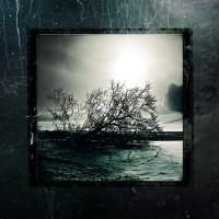 B.T.T. / Like Desolate like True / Nihilism / Erkhrankung