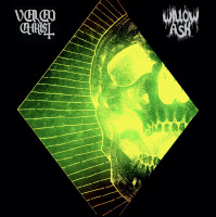 A Veil of Ash