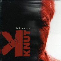 Leftovers