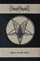 Music of the Flies
