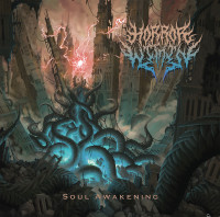 Soul Awakening